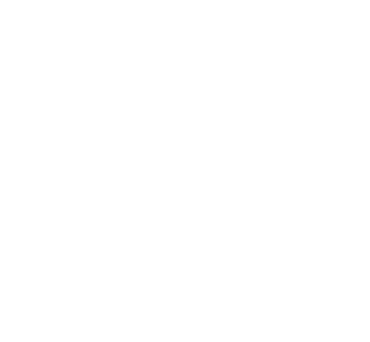 Ilegis